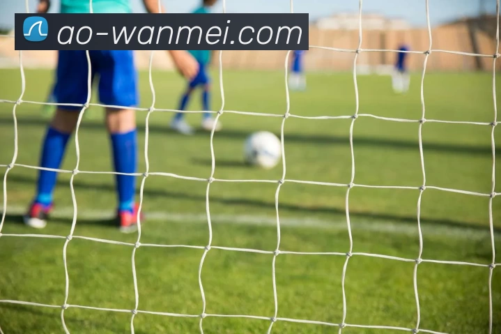 完美体育APP下载APP 封面图